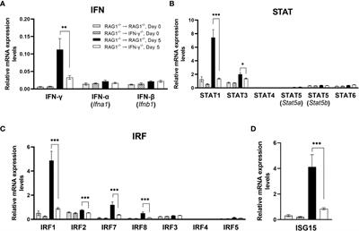 IFN-γ production by brain-resident cells activates cerebral mRNA expression of a wide spectrum of molecules critical for both innate and T cell-mediated protective immunity to control reactivation of chronic infection with Toxoplasma gondii